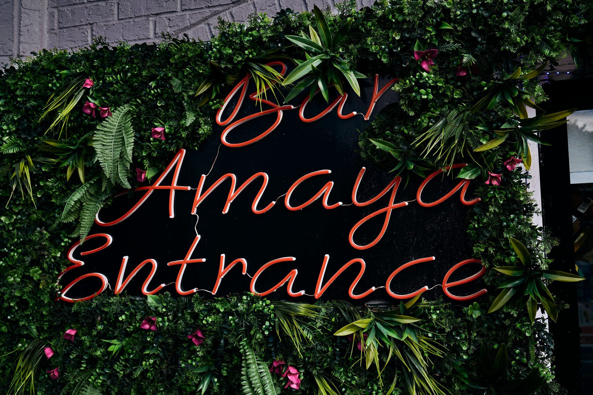 Visit Bar Amaya