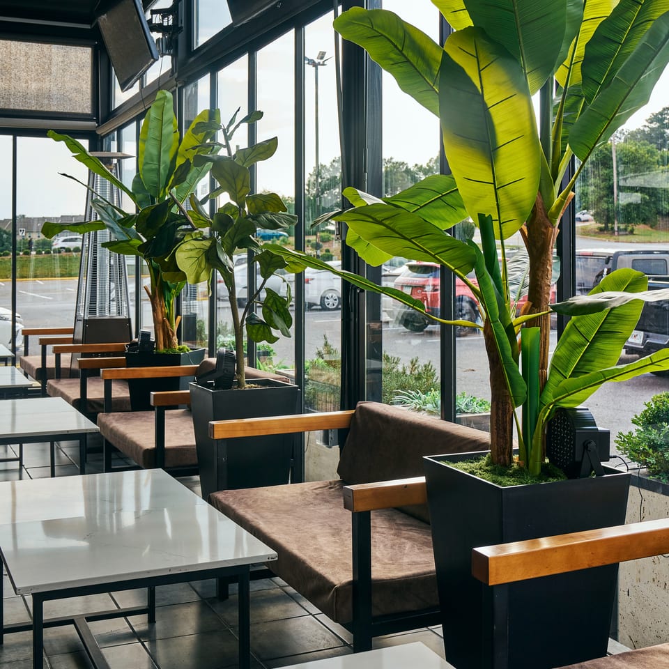 Bright restaurant dining area with marble tables, brown seating, floor-to-ceiling windows, and large tropical plants.