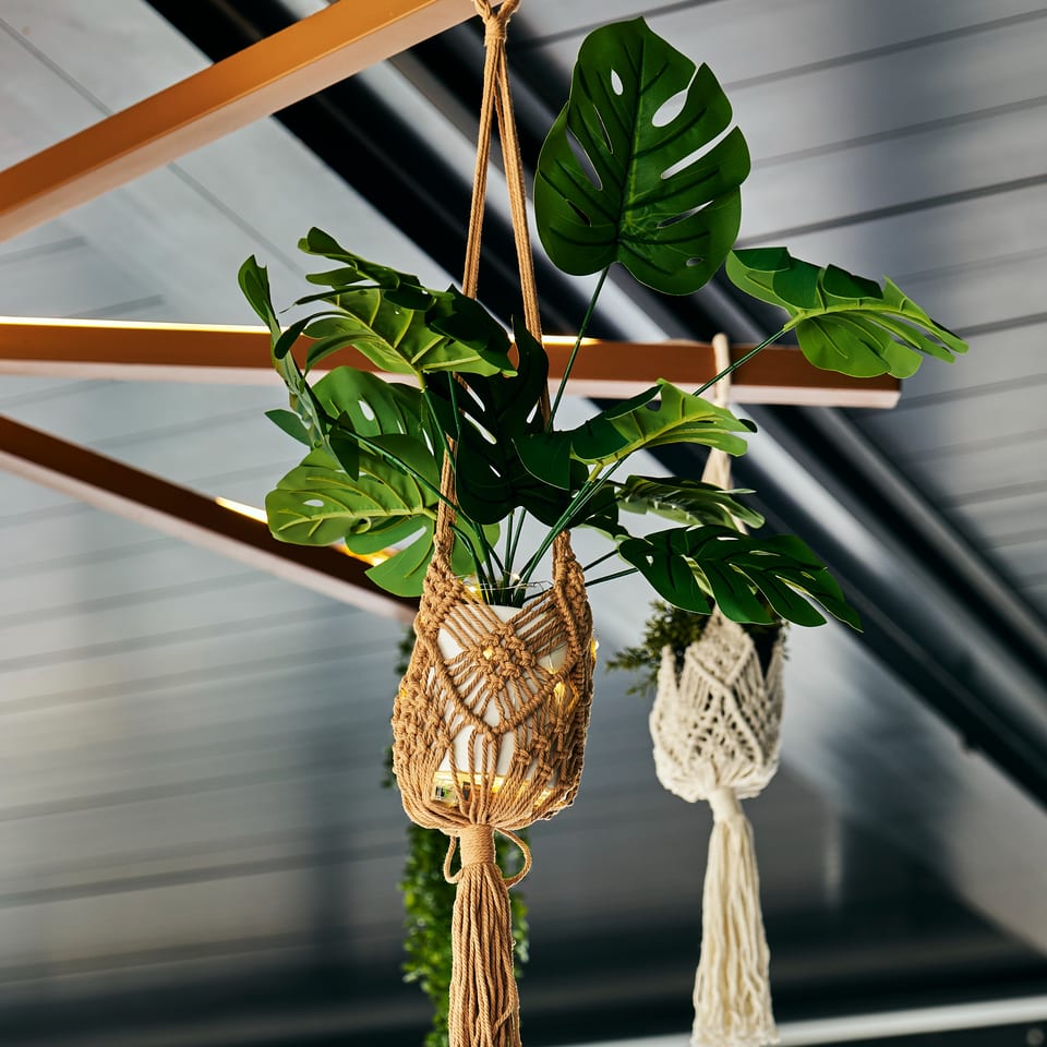 Hanging macramé planter filled with lush split-leaf greenery beneath a modern slatted ceiling.