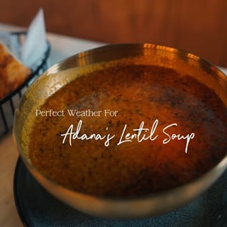 Soup of The Day